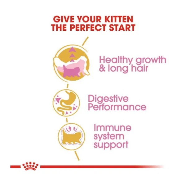 غذای خشک بچه گربه پرشین کیتن رویال کنین – Persian Kitten