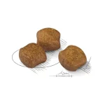 غذای خشک گربه رویال کنین مدل دنتال Dental وزن 1.5 کیلوگرم - royal canin Dental Dry Food For Cat